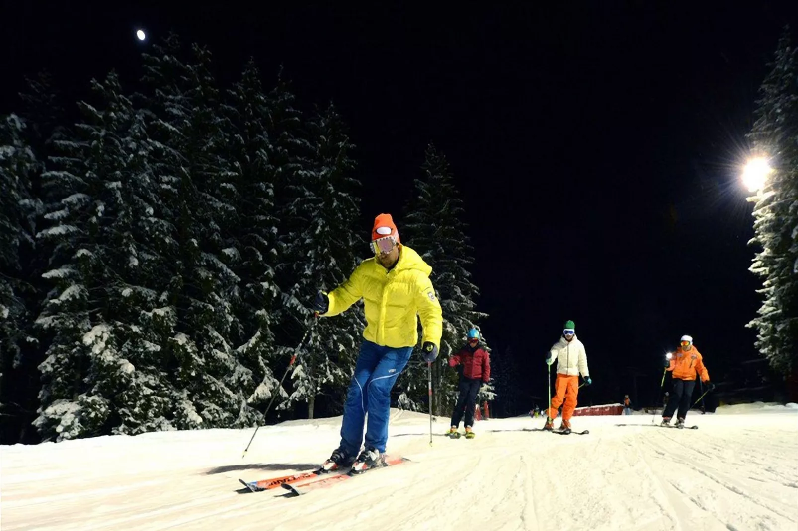 Negritella Quadri Sette-Gebied winter 1km