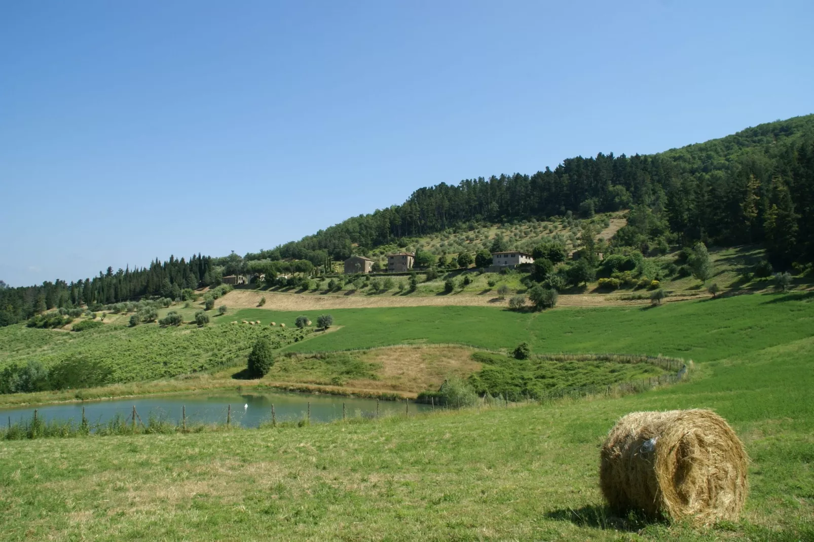 Villa Vivai-Gebieden zomer 1km