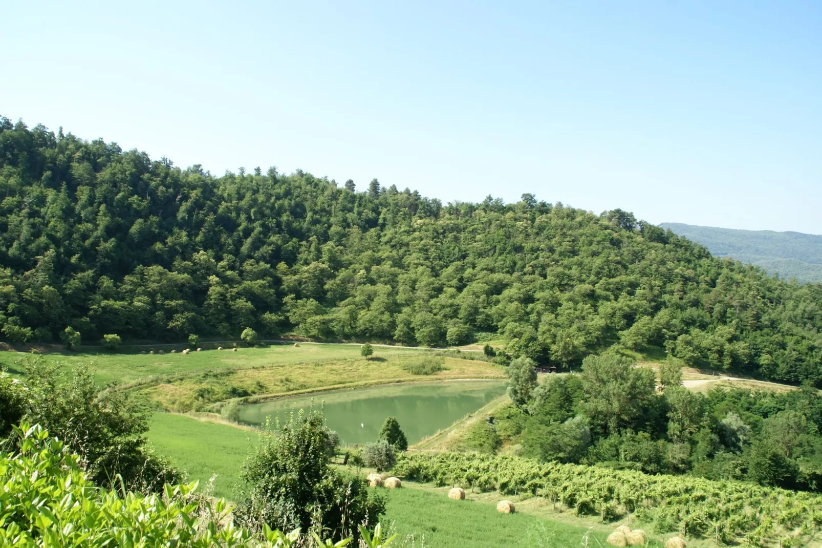 Villa Vivai-Gebieden zomer 5km