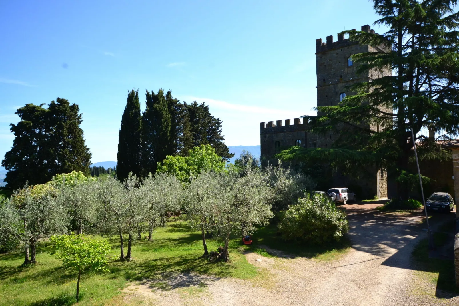 Canaiolo-Buitenkant zomer