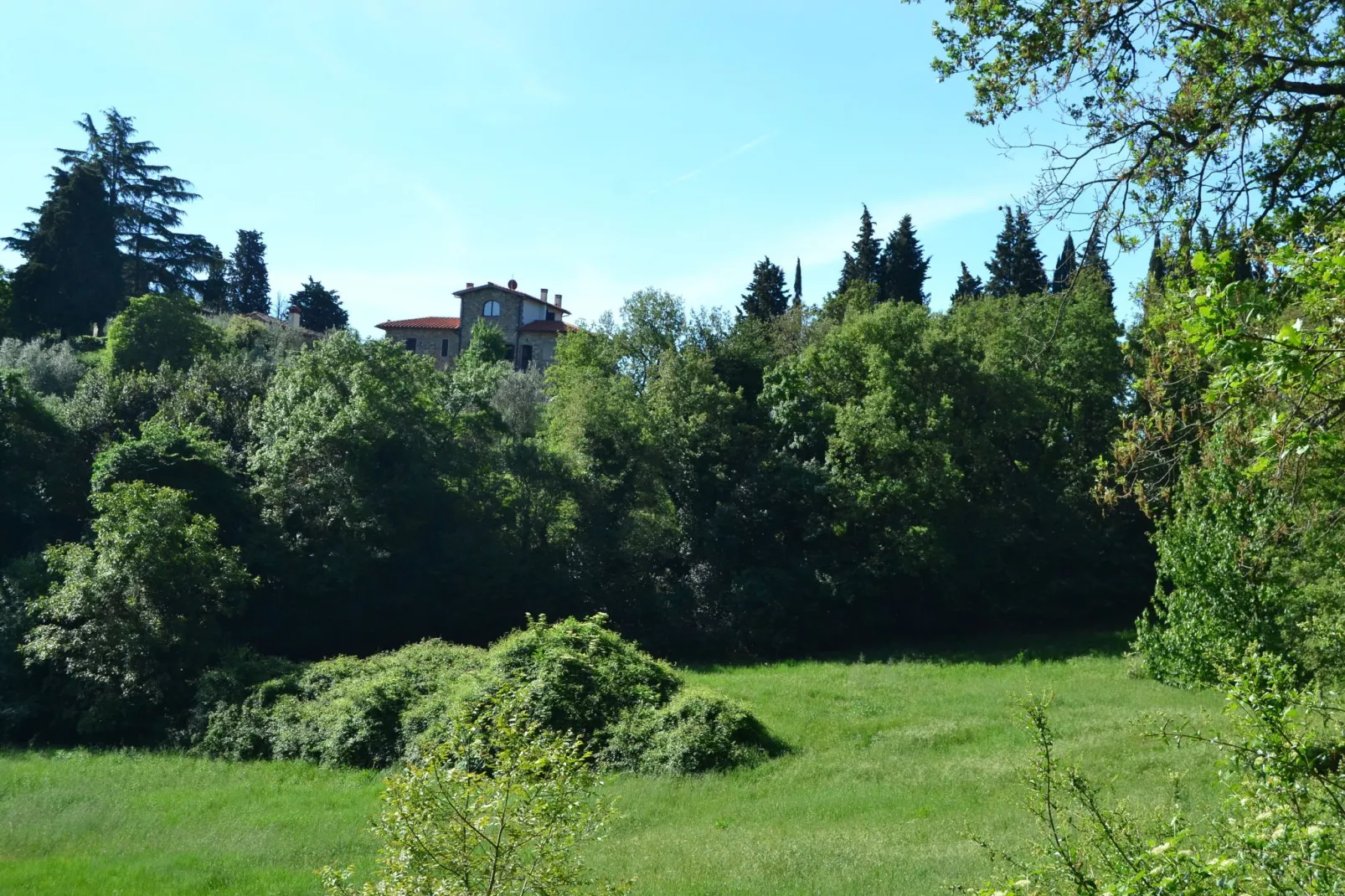 Canaiolo-Uitzicht zomer