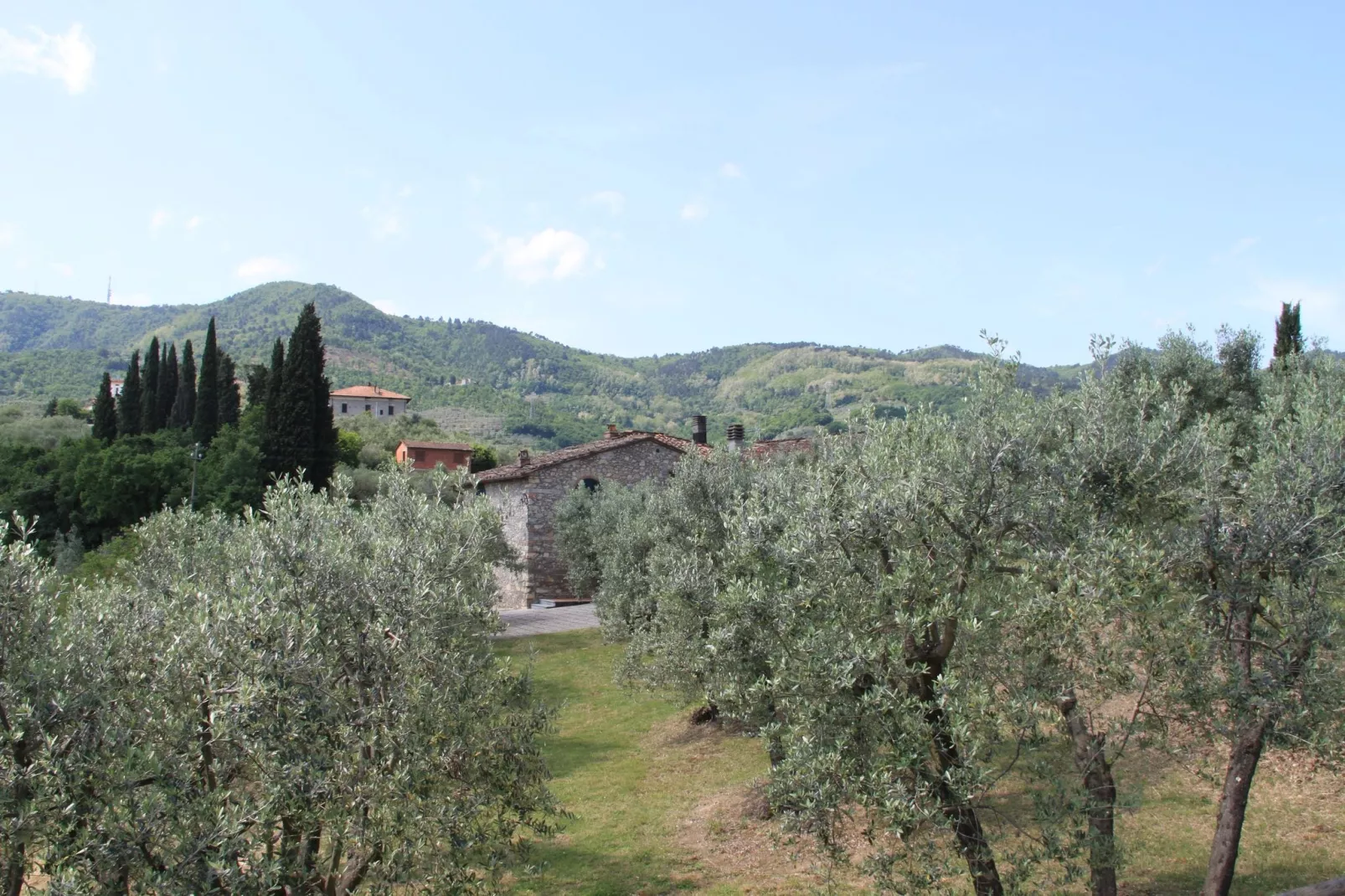 La Casa dei Cinque Olivi-Tuinen zomer