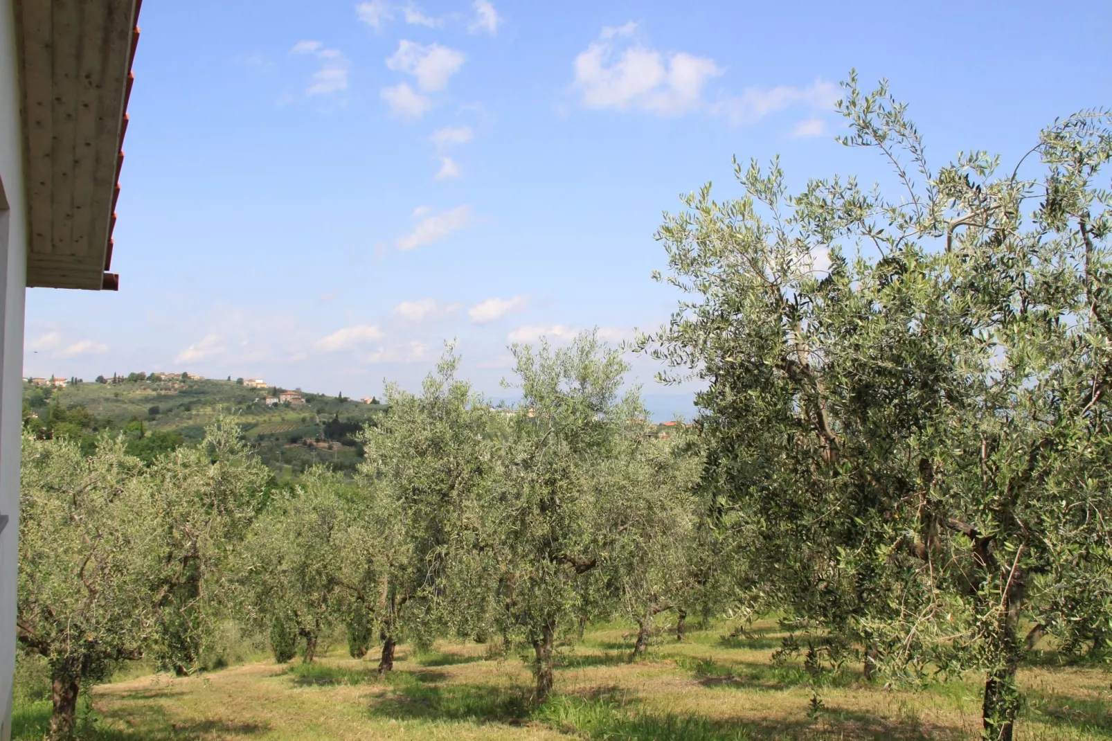 La Casa dei Cinque Olivi-Uitzicht zomer