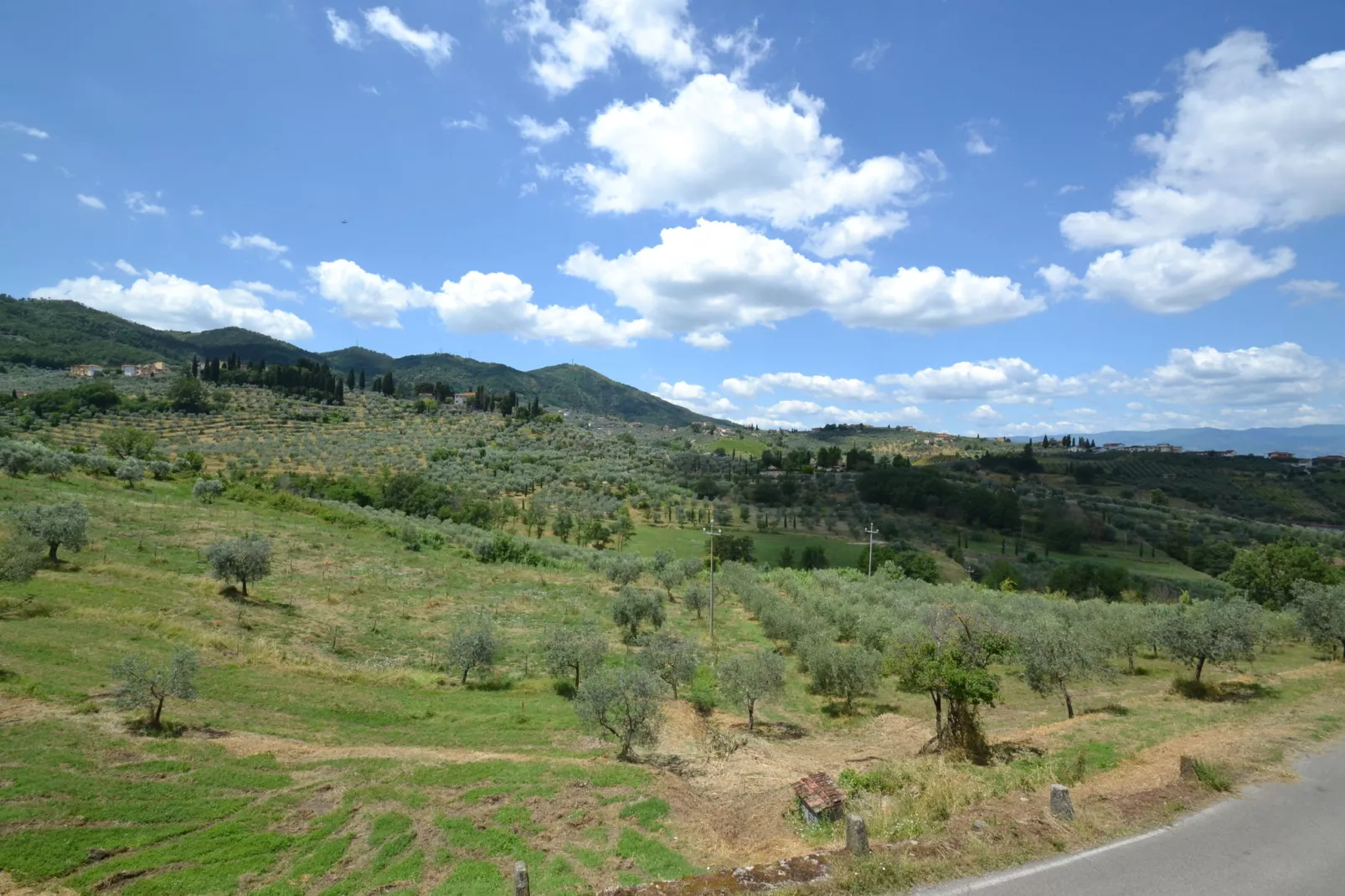 La Casa dei Cinque Olivi-Gebieden zomer 1km