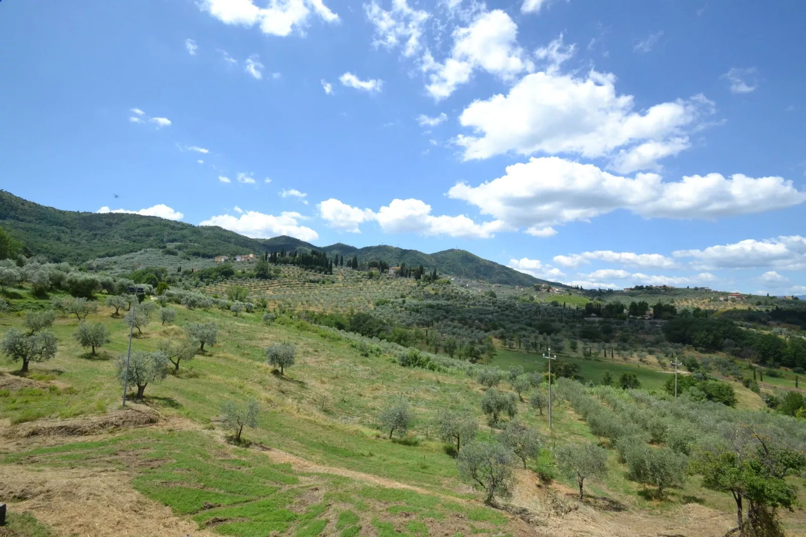 La Casa dei Cinque Olivi-Gebieden zomer 1km