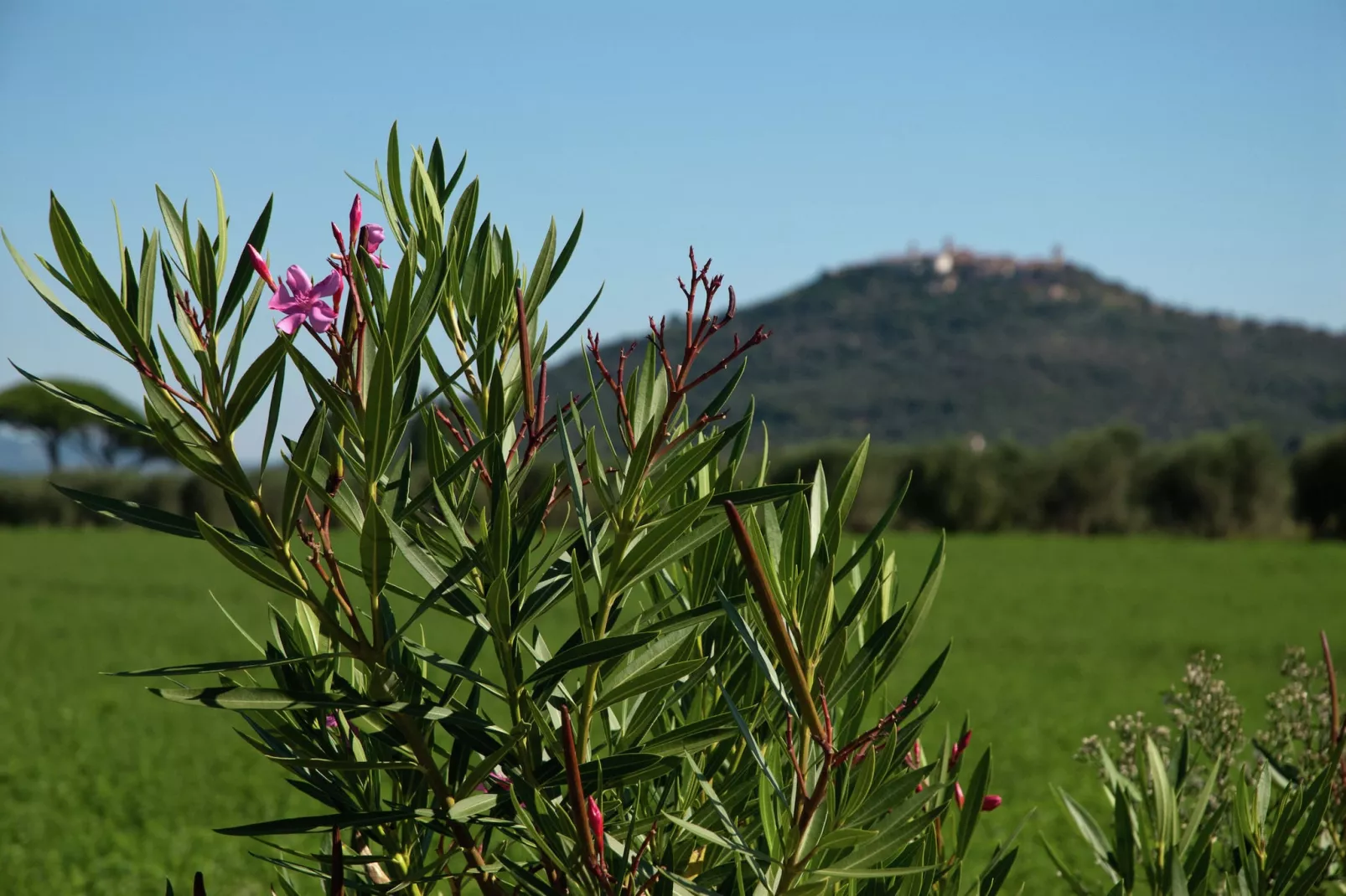 Bozzone Residenza Rossa-Gebieden zomer 5km