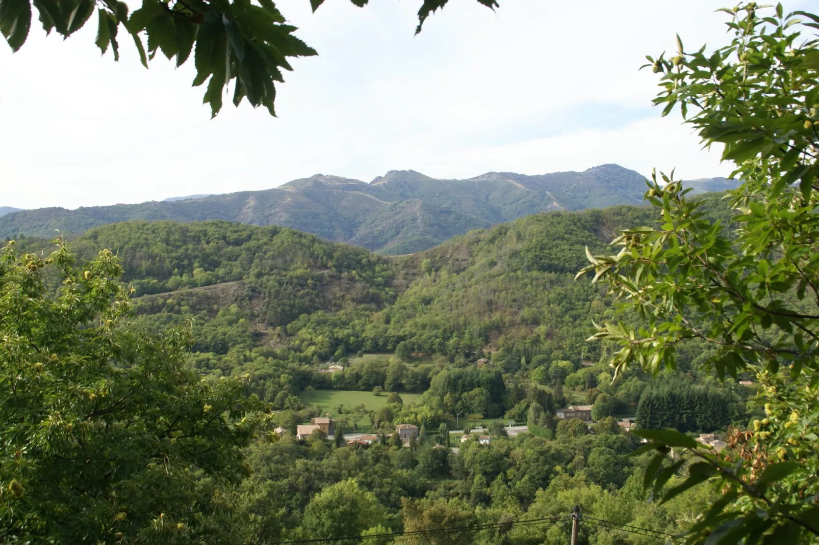 Maison de vacances - Saint-Pierre-de-Colombier-Uitzicht zomer