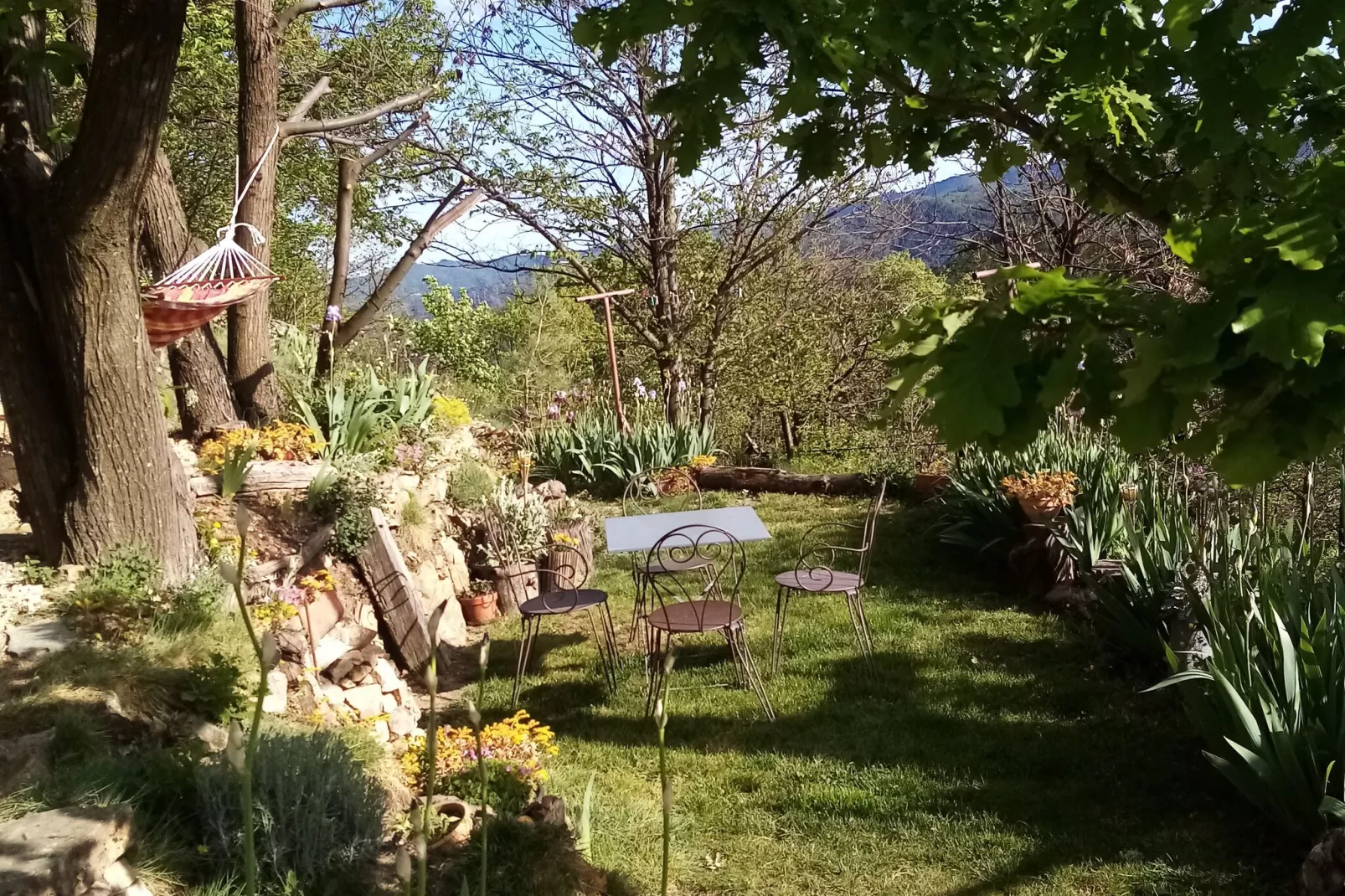 Maison de vacances - Saint-Pierre-de-Colombier-Gebieden zomer 1km