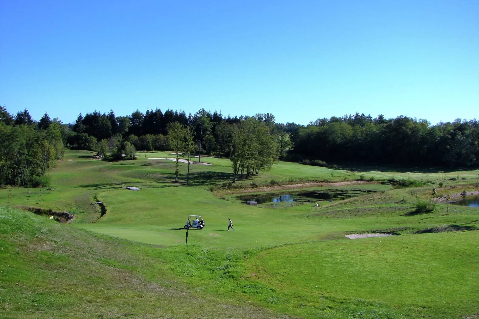 Domaine de Bellac 17P-Gebieden zomer 1km