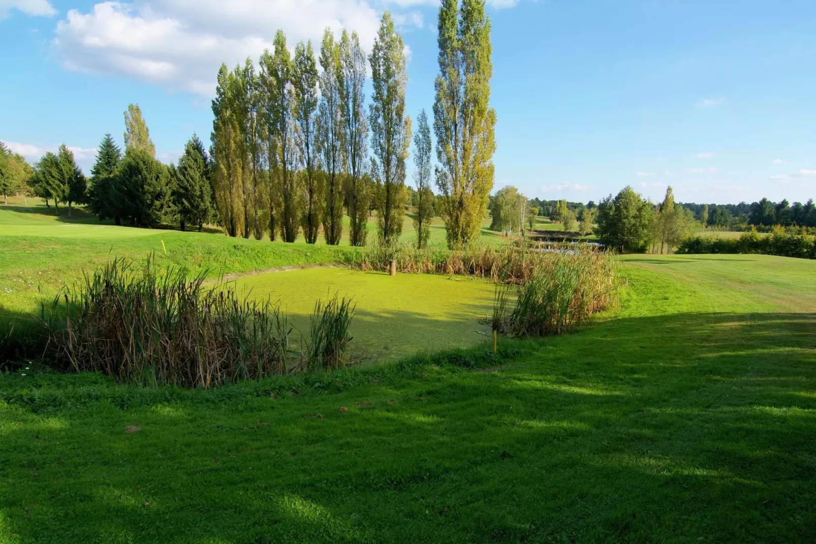 Domaine de Bellac 17P-Gebieden zomer 5km