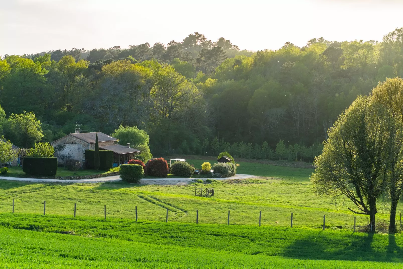 Maison de vacances Salles de Belvès-Gebieden zomer 1km