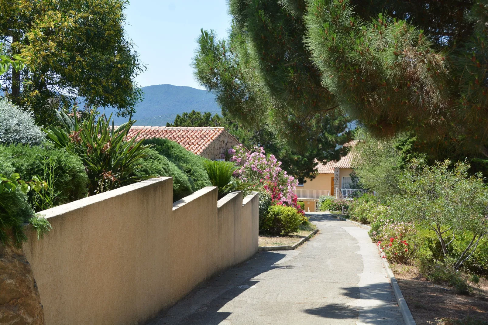 Residence Alba Rossa Serra-di-Ferro // Villa 1 Chambre Côté Nature-Tuinen zomer