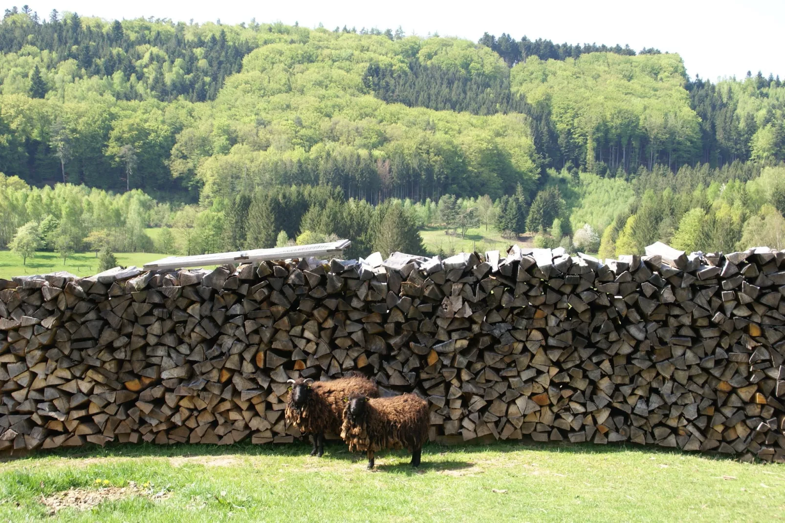 Mon Repos-Gebieden zomer 1km