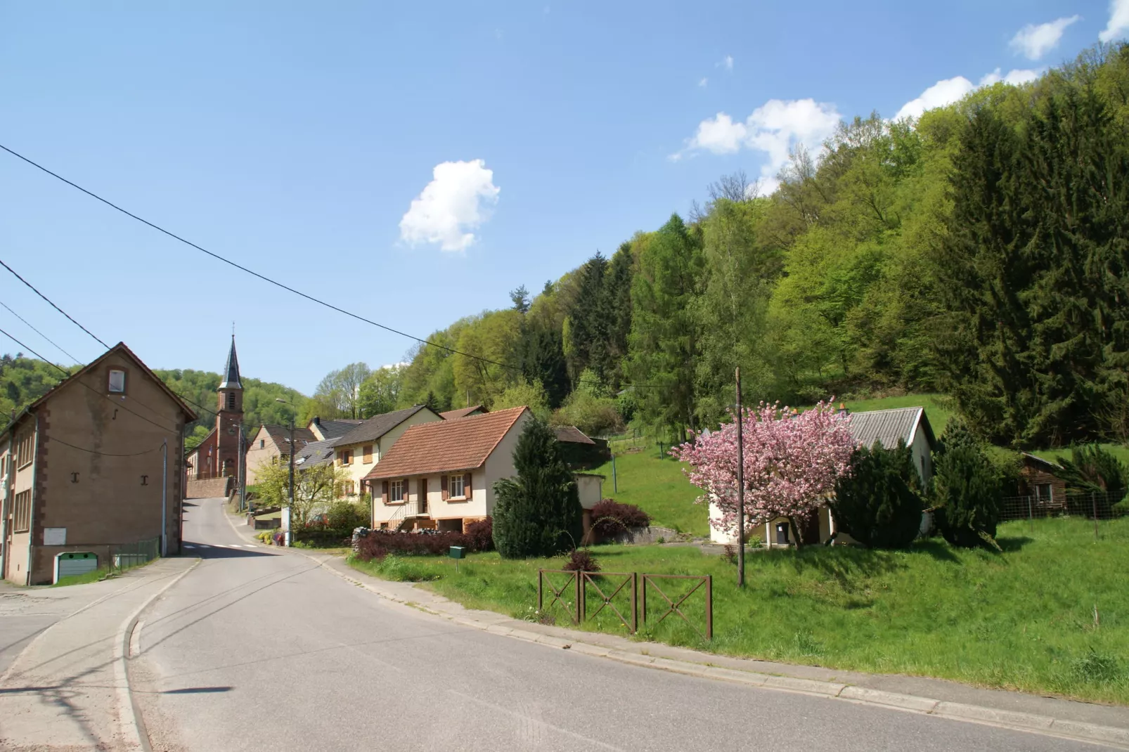 Mon Repos-Gebieden zomer 20km