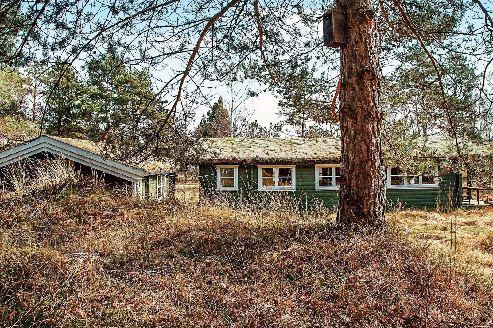 4 persoons vakantie huis in Læsø-Uitzicht