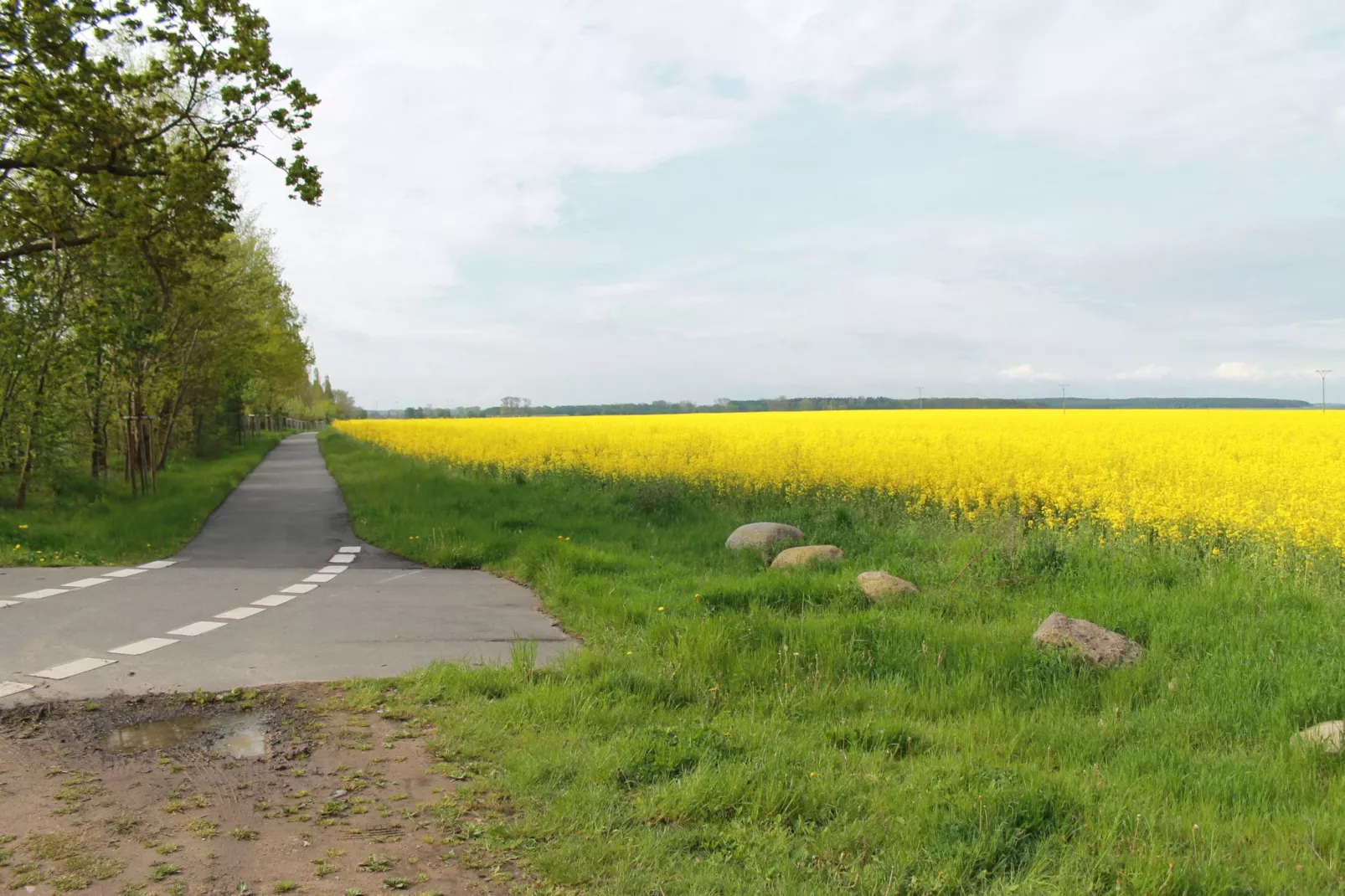 Zum Breitling-Gebieden zomer 1km