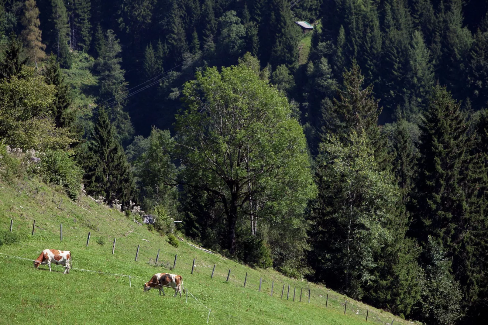 Durchholzhof-Tuinen zomer