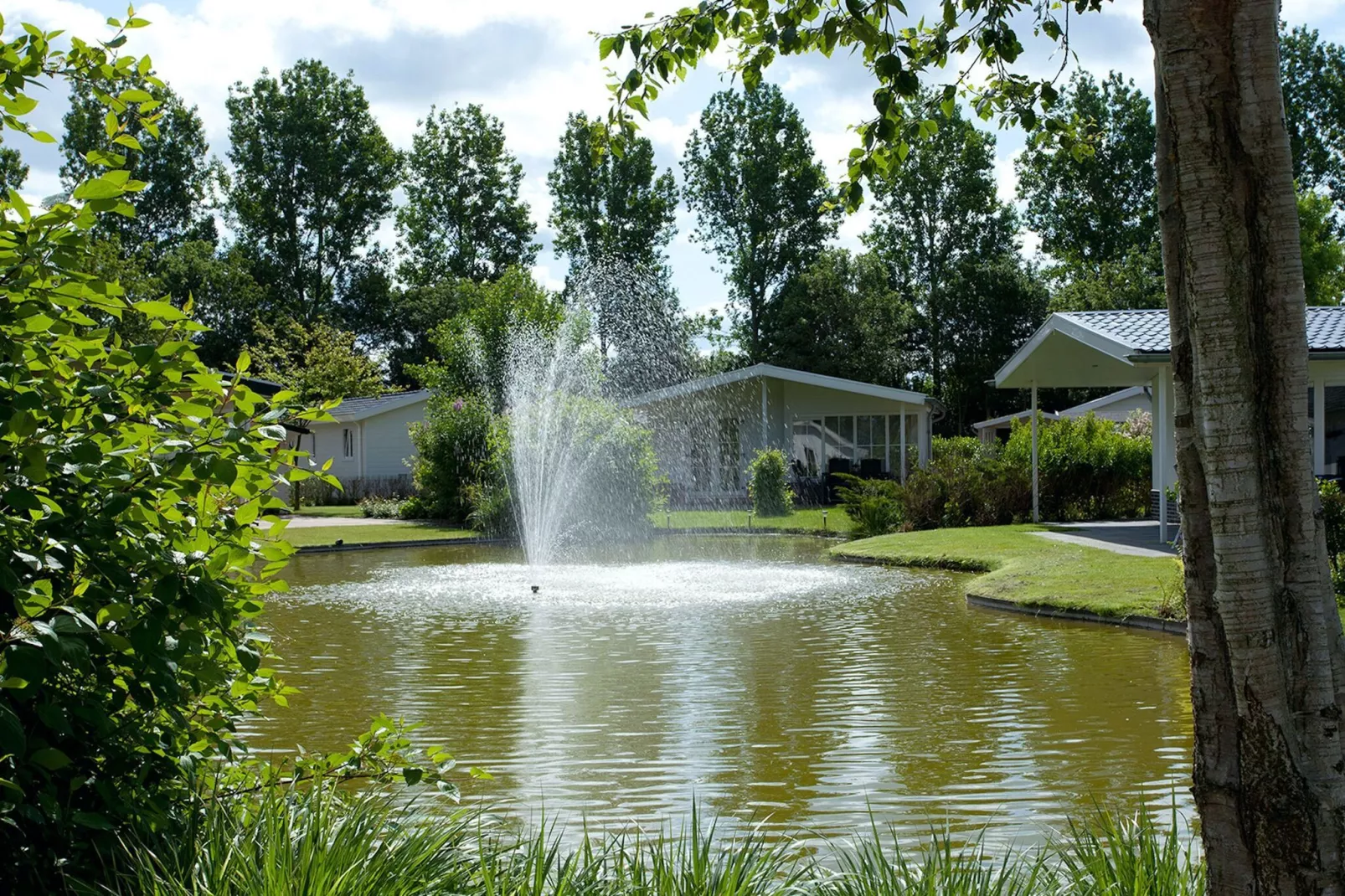 Vakantiepark Molengroet 2-Gebieden zomer 1km