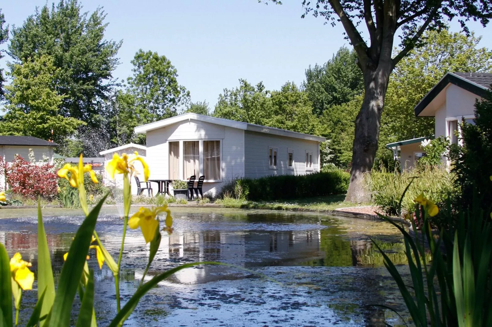 Vakantiepark Molengroet 2-Gebieden zomer 1km