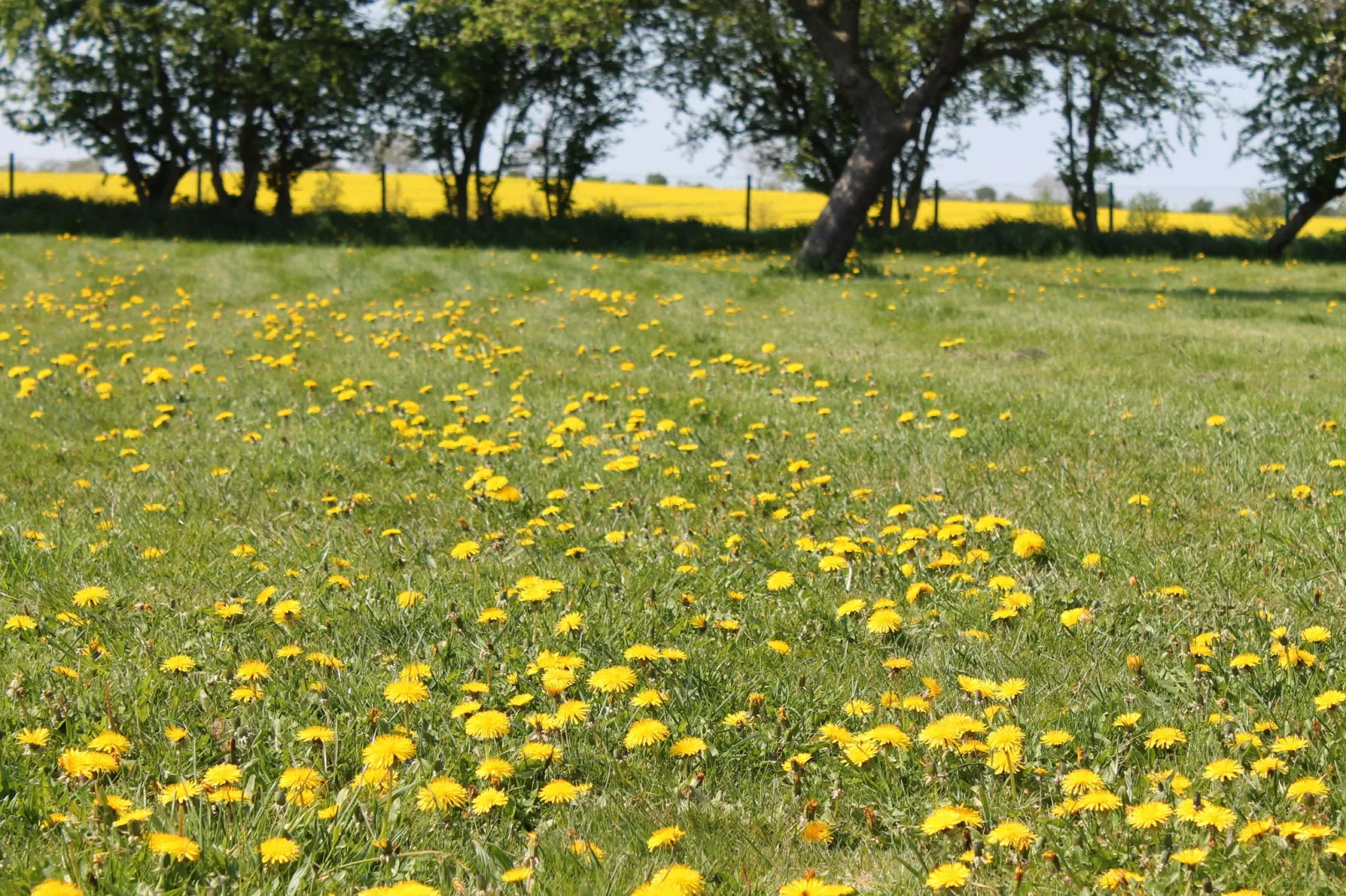 Landlust pur 1-Tuinen zomer