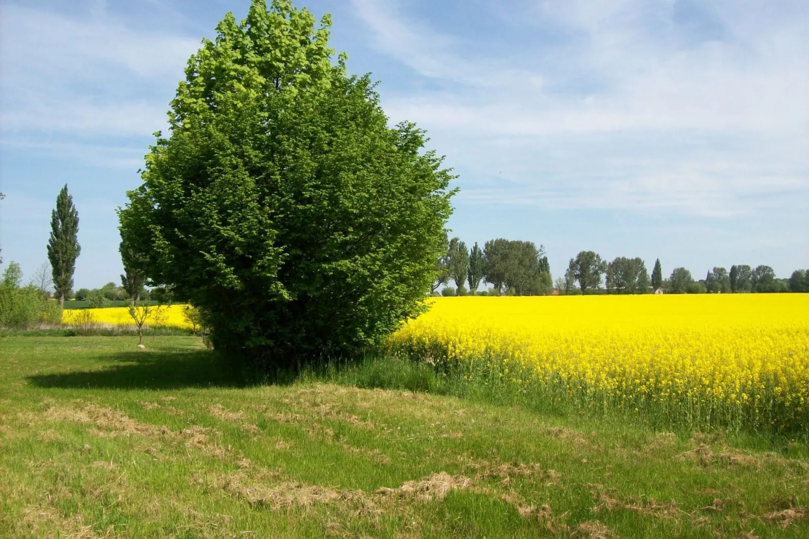 Landlust pur 1-Gebieden zomer 1km