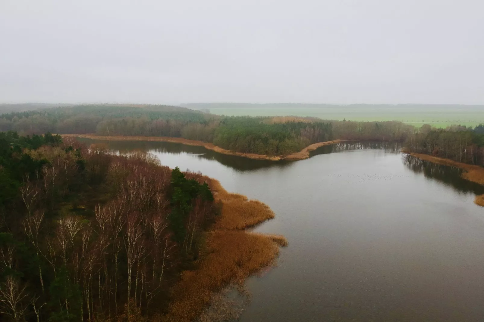 Landlust pur 1-Gebieden zomer 5km