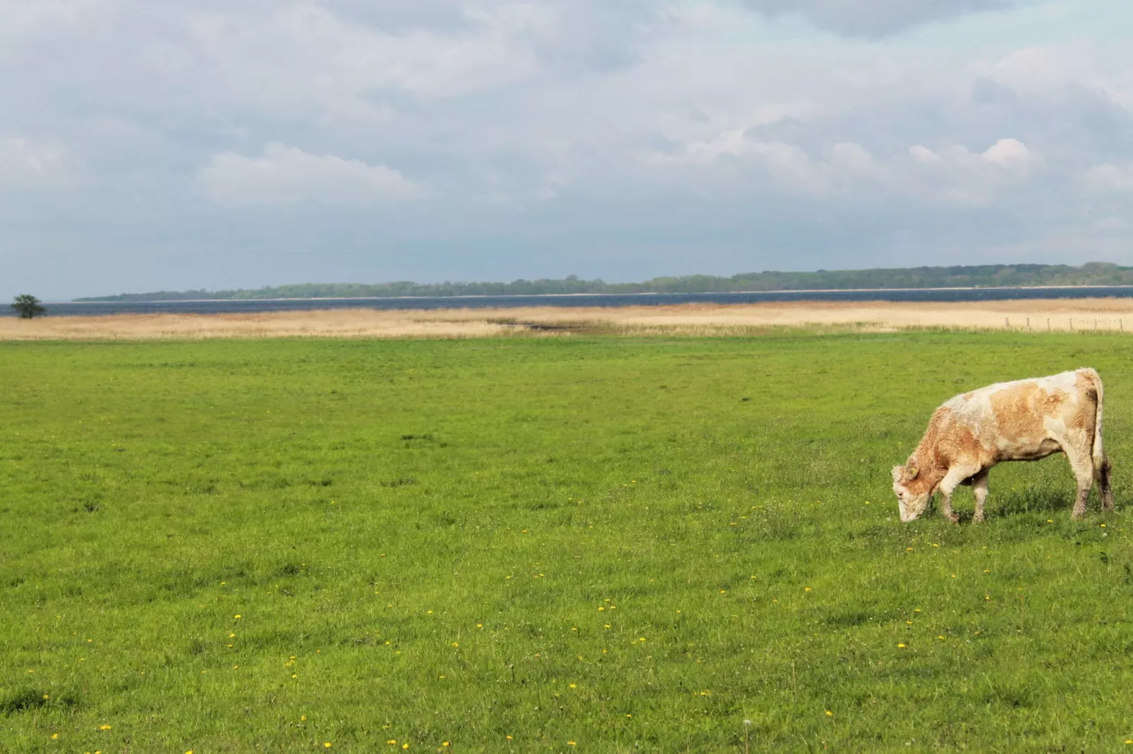 Landlust 2-Gebieden zomer 5km