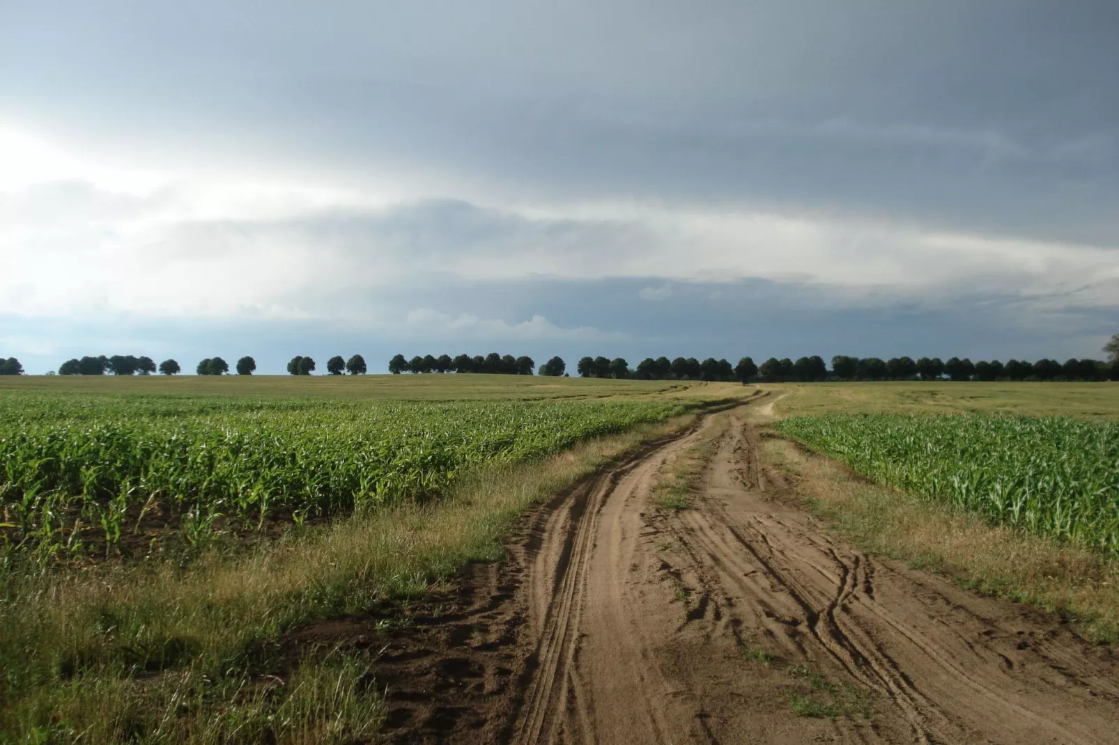 Landlust 2-Gebieden zomer 1km