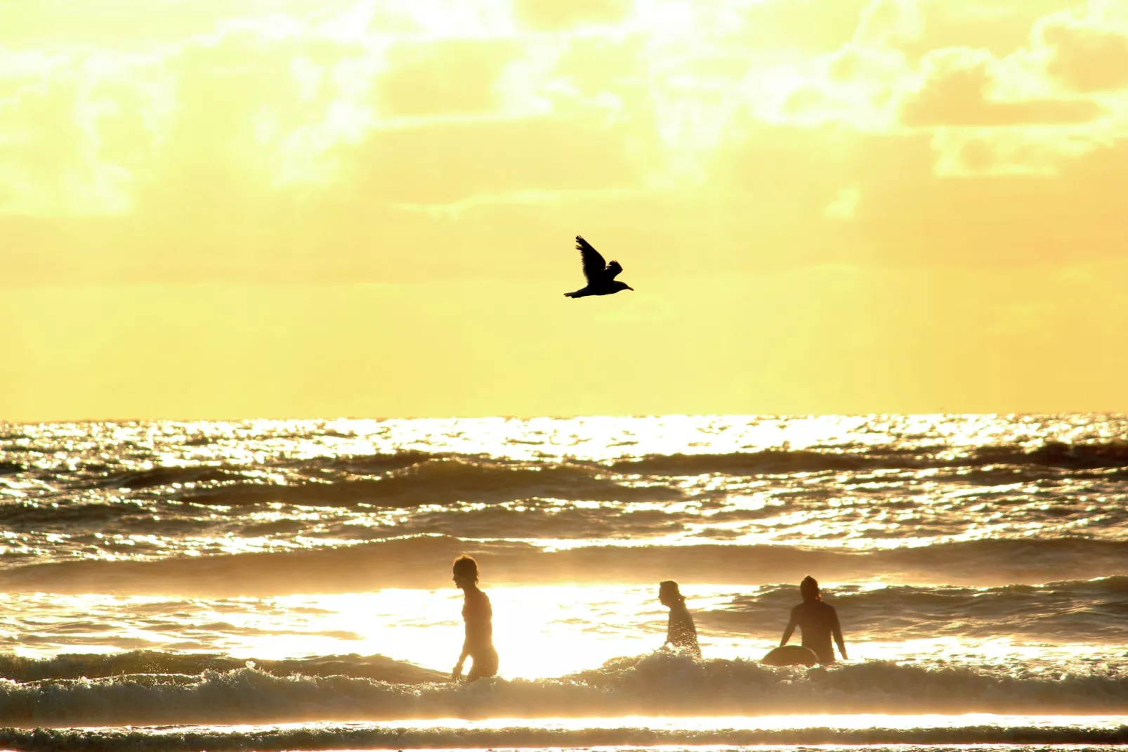 Sea Lodges Zandvoort 1-Gebieden zomer 1km