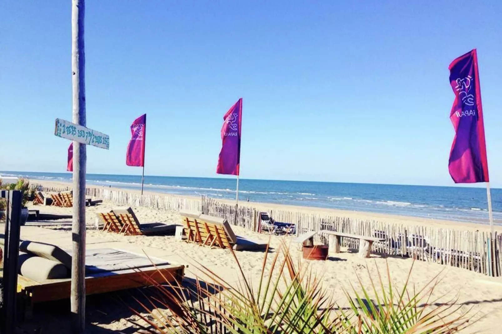 Sea Lodges Zandvoort 1-Gebieden zomer 1km