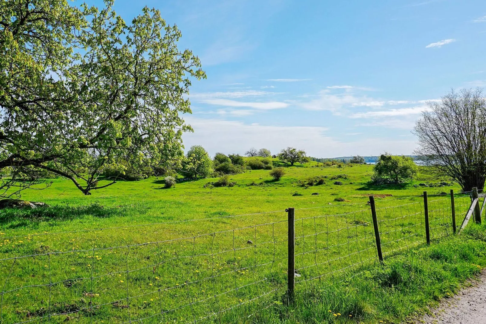 4 persoons vakantie huis in ADELSÖ-Uitzicht