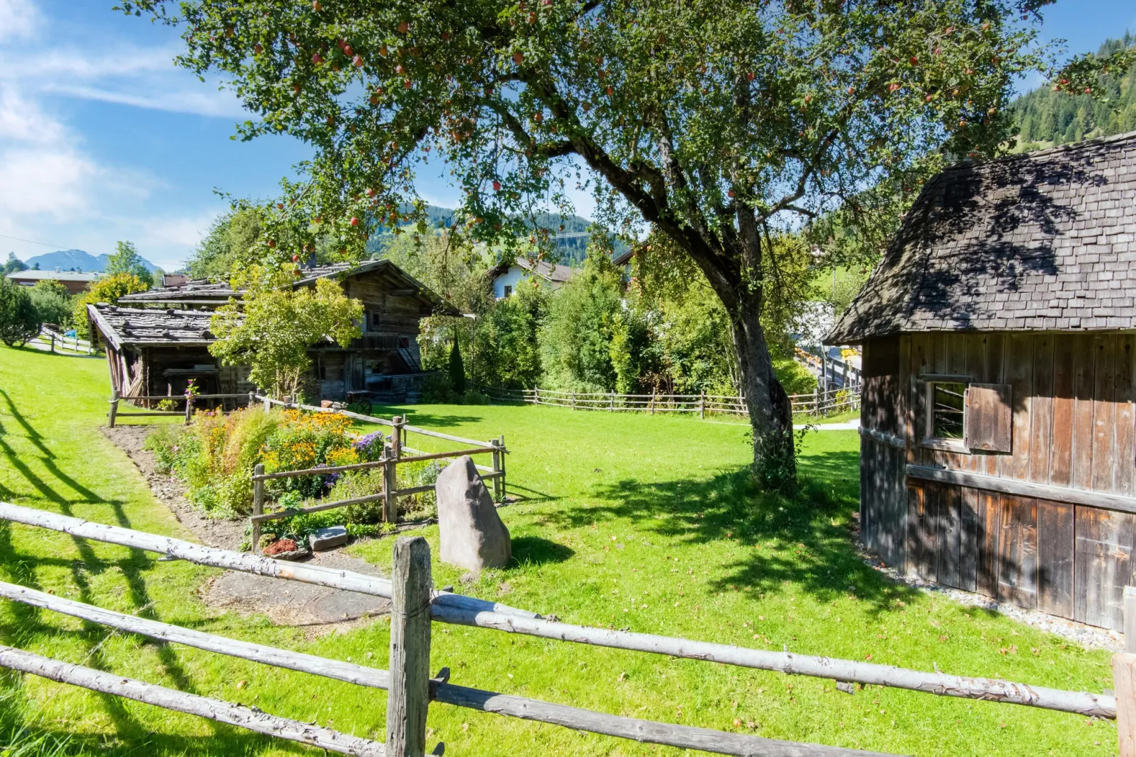 Apart Wildschönau 2-Uitzicht zomer