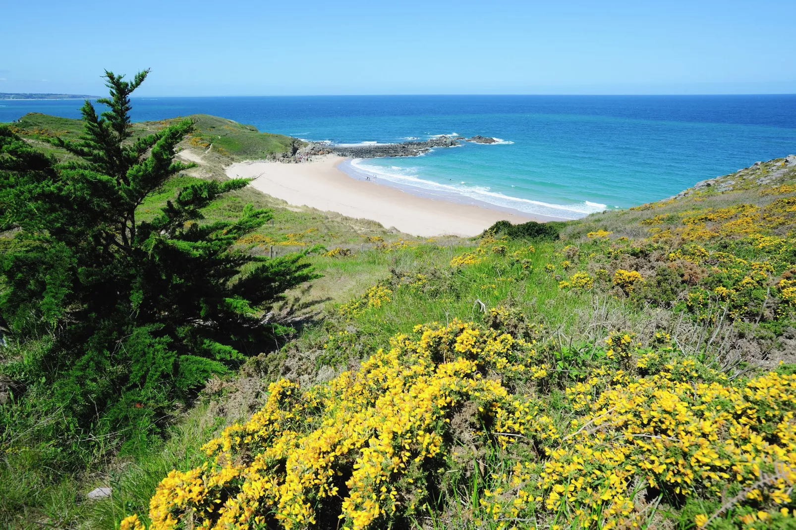 Maison de vacances A-Gebieden zomer 20km