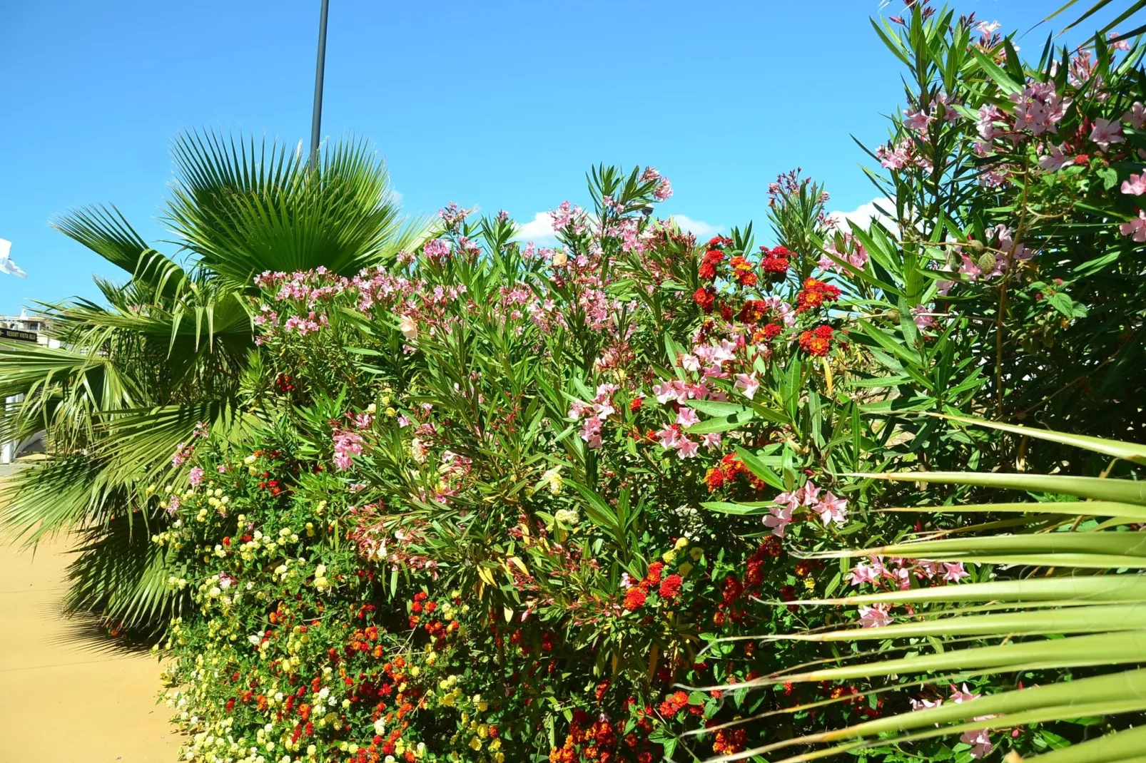 Vista Blu Resort Villa Sei Pax Terra-Sfeer