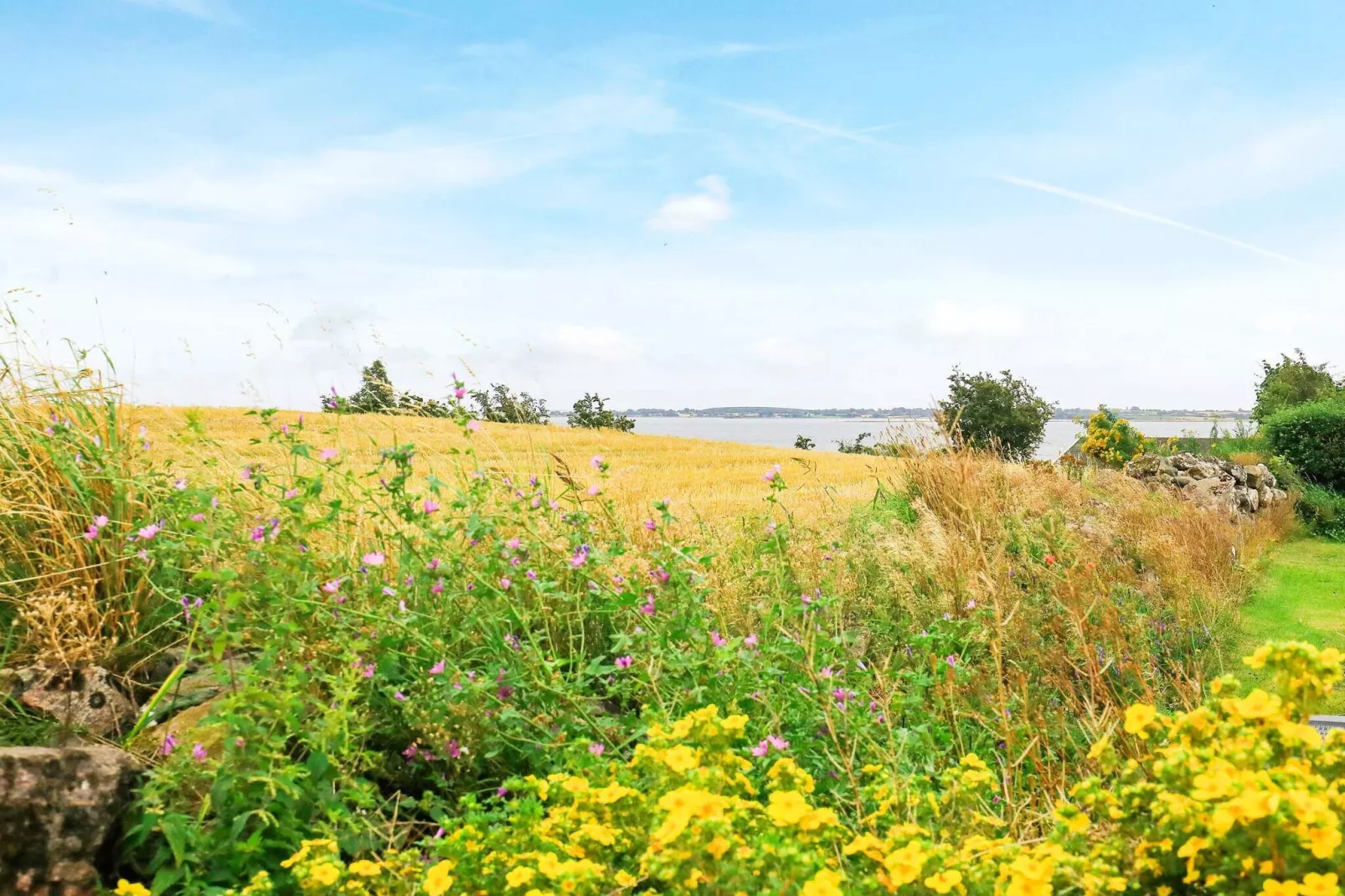 8 persoons vakantie huis in Faaborg-Waterzicht