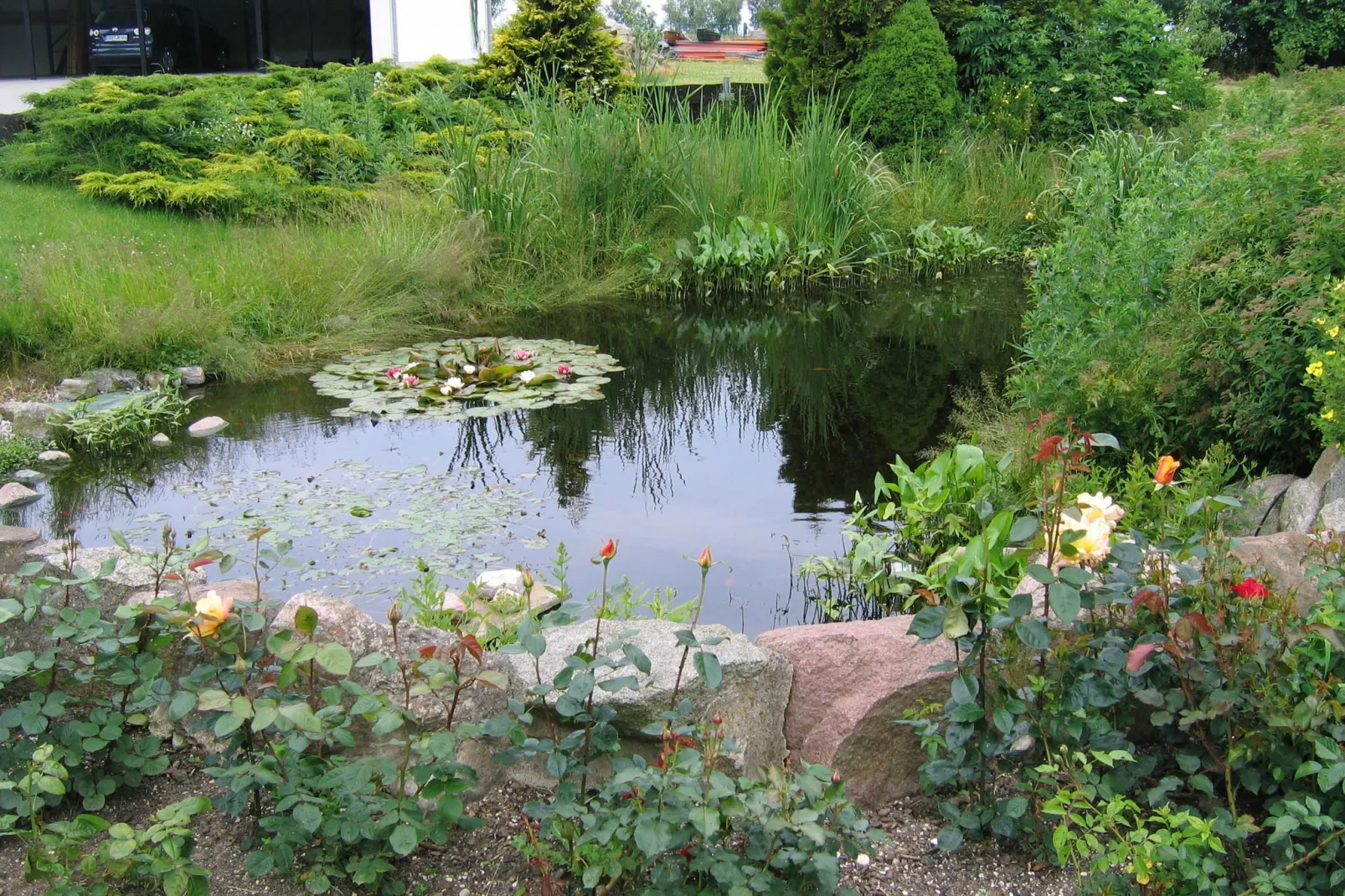 Ferienwohnung mit Meerblick-Tuinen zomer