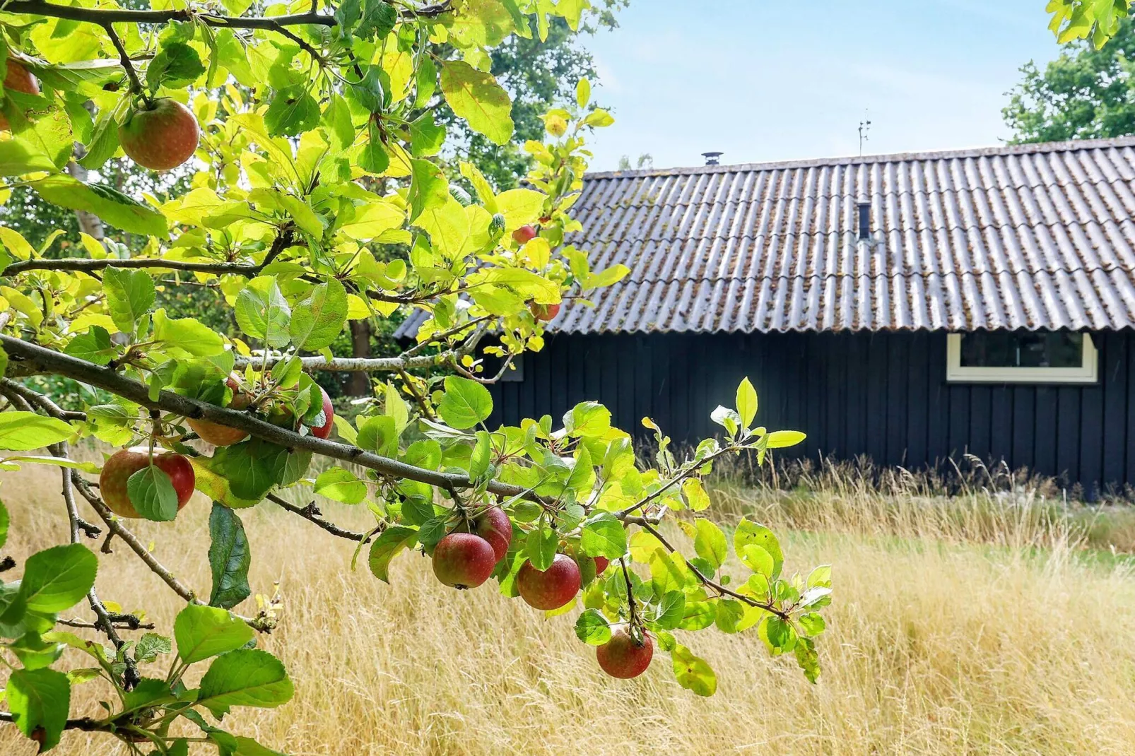 6 persoons vakantie huis in Humble-Uitzicht