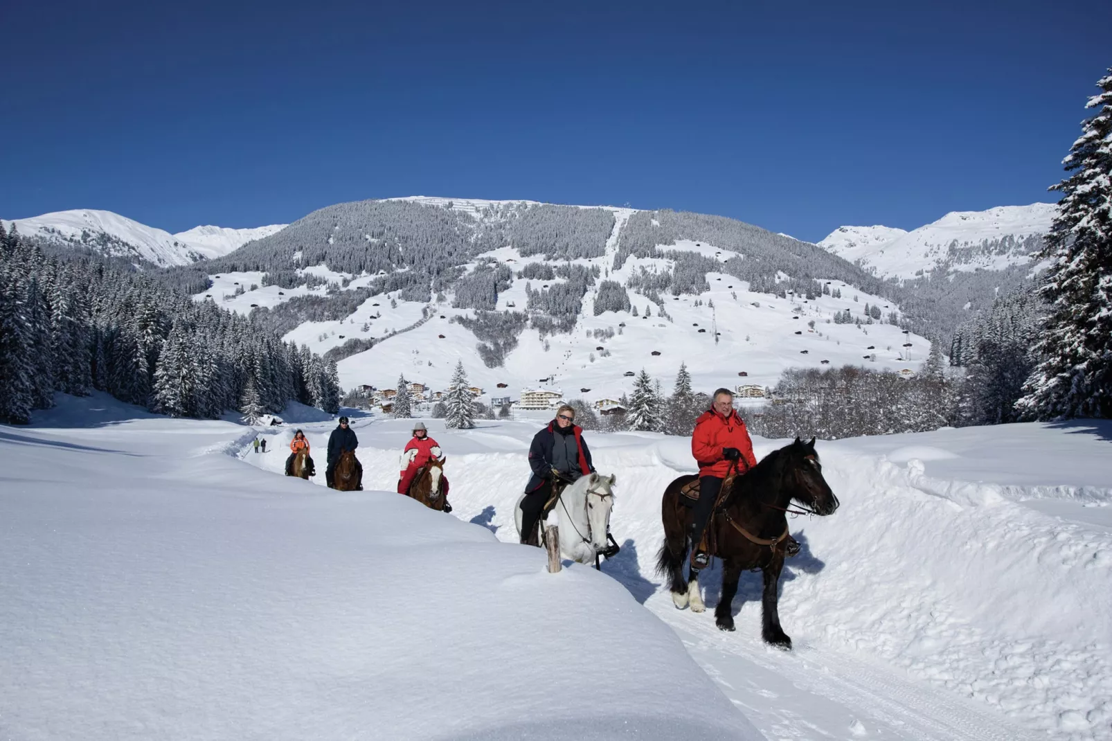 Apartments Zillertal-Gebied winter 20km