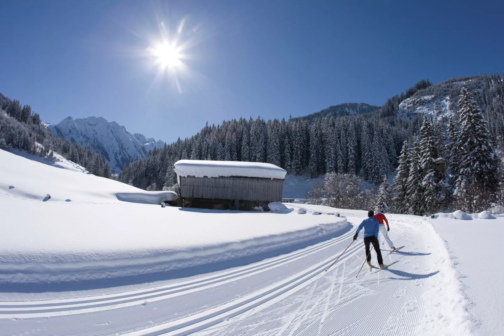 Apartments Zillertal-Gebied winter 20km