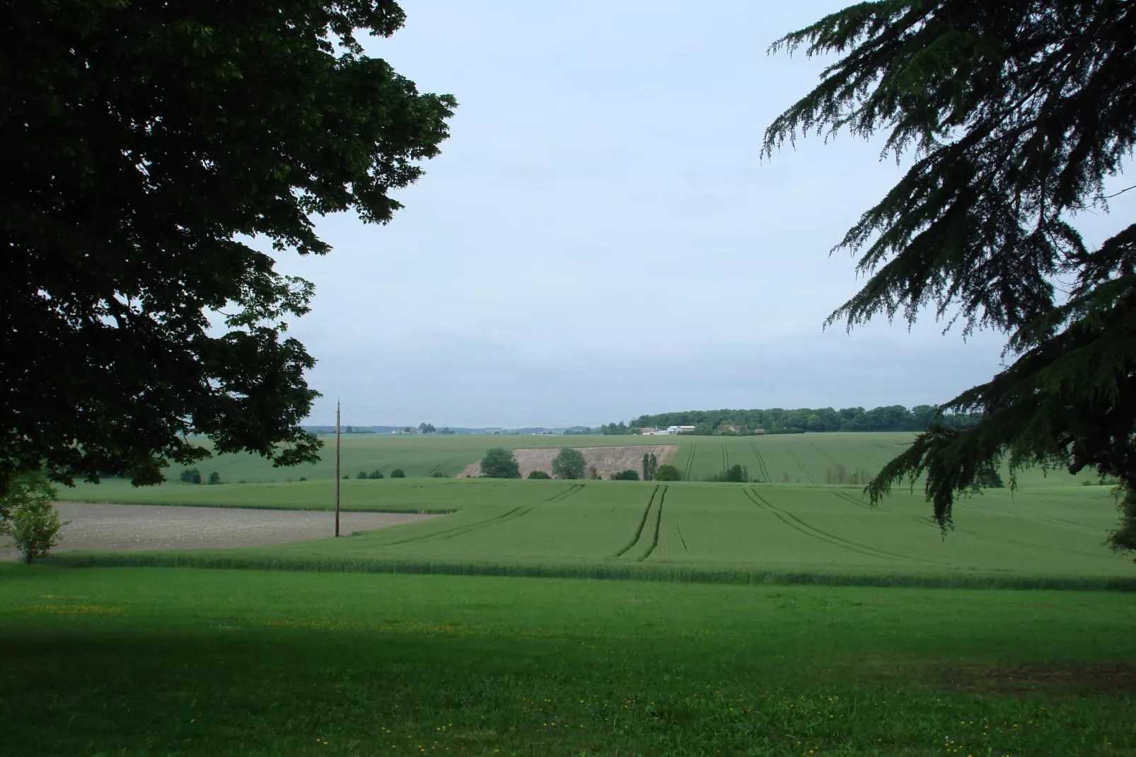 Villa Cussay-Gebieden zomer 1km