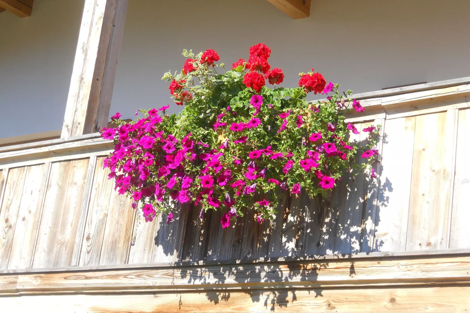 Chalet Niederndorferberg 1-Tuinen zomer