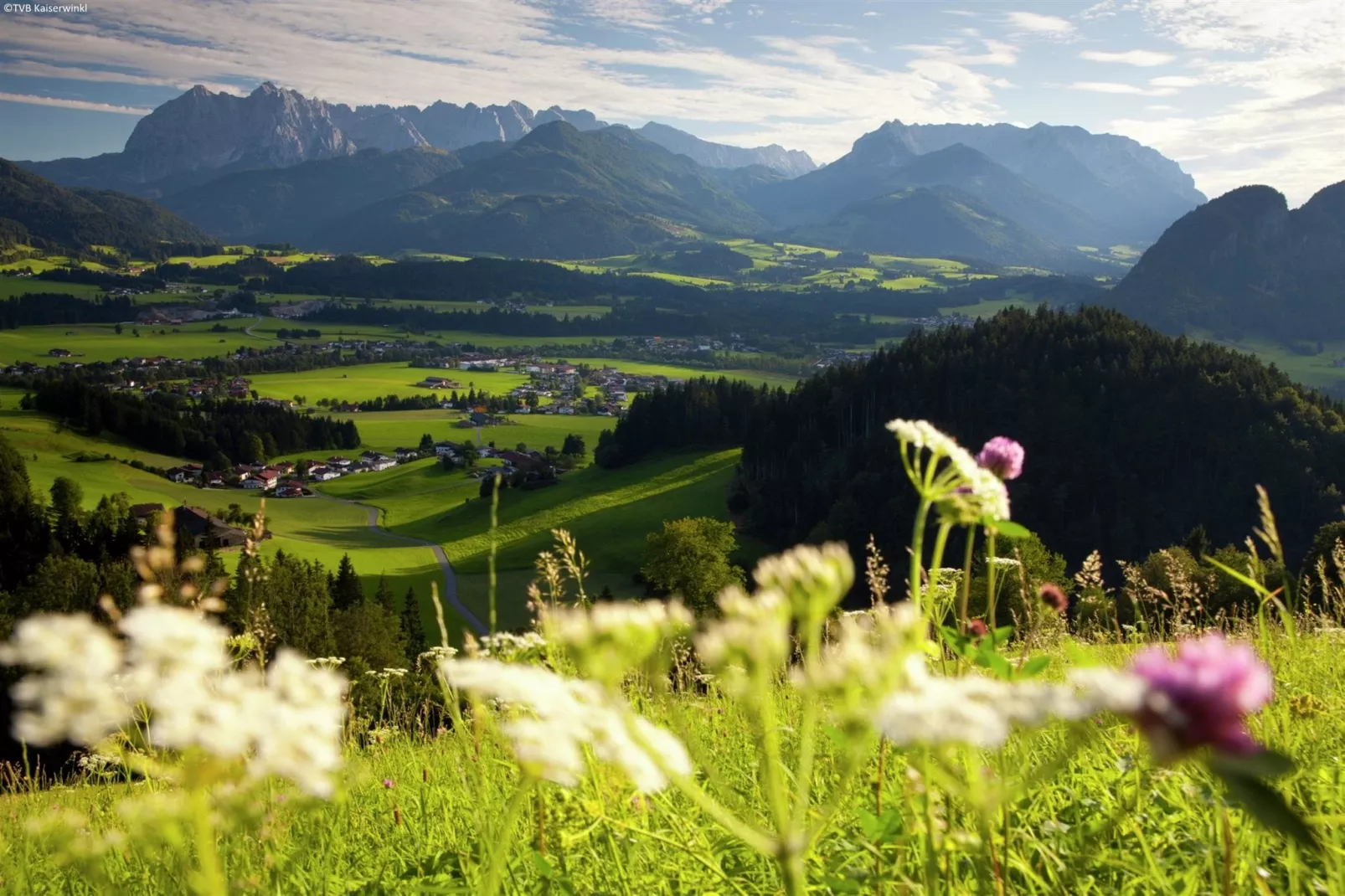 Chalet Niederndorferberg 1-Gebieden zomer 5km