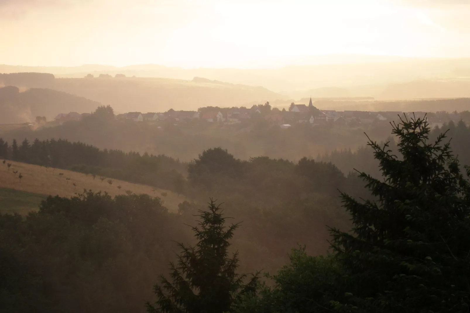 Villa Hochwald-Gebieden zomer 1km