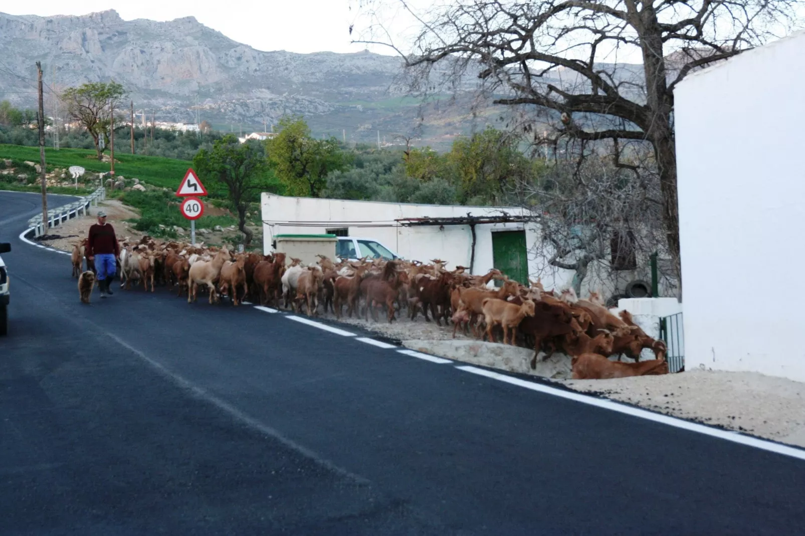 Casa Torrejón-Gebieden zomer 1km