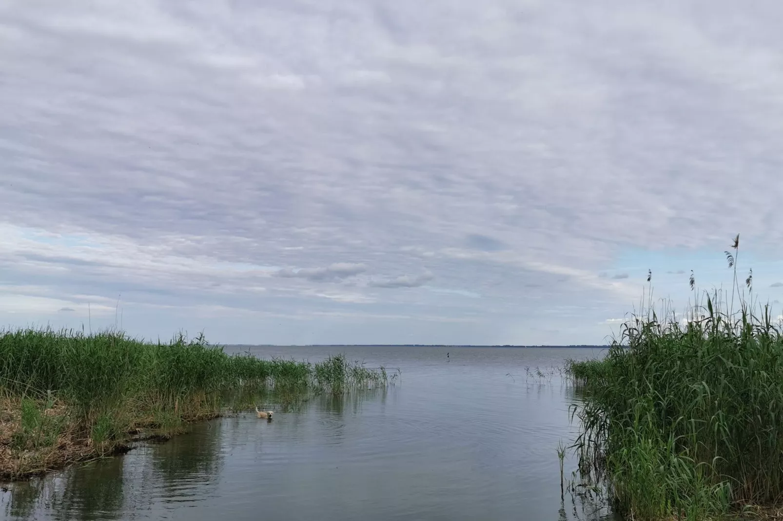 Urlaub auf der Insel Usedom-Gebieden zomer 1km