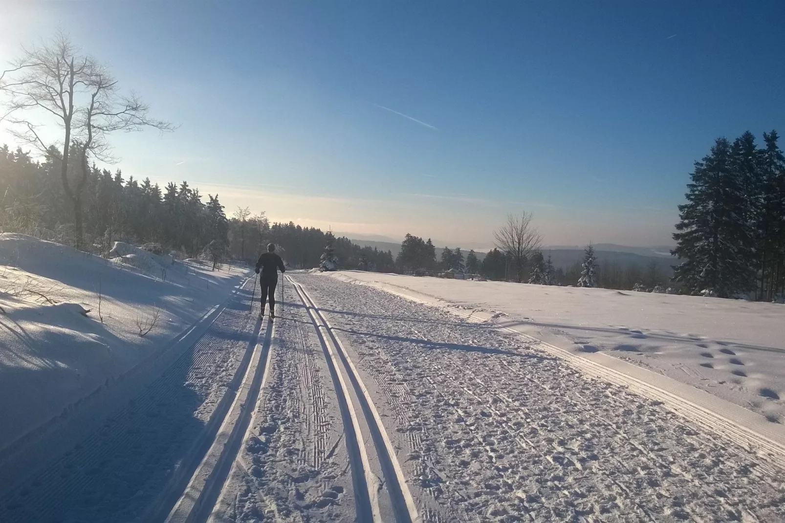 EcoLodge Sauerland 2-Gebied winter 5km