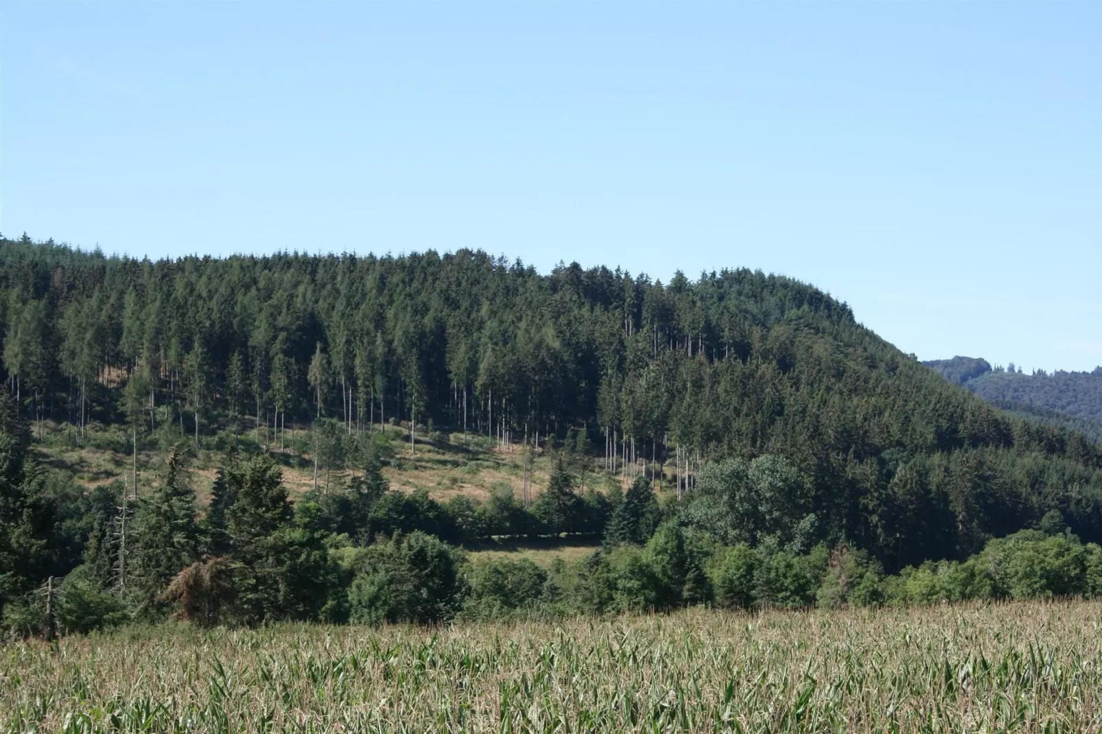 EcoLodge Sauerland 2-Uitzicht zomer