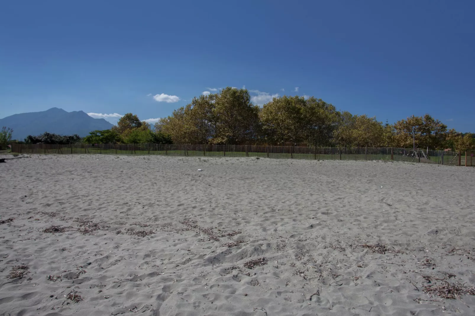 Résidence le Maquis Plage Type 4 85m-Gebieden zomer 1km