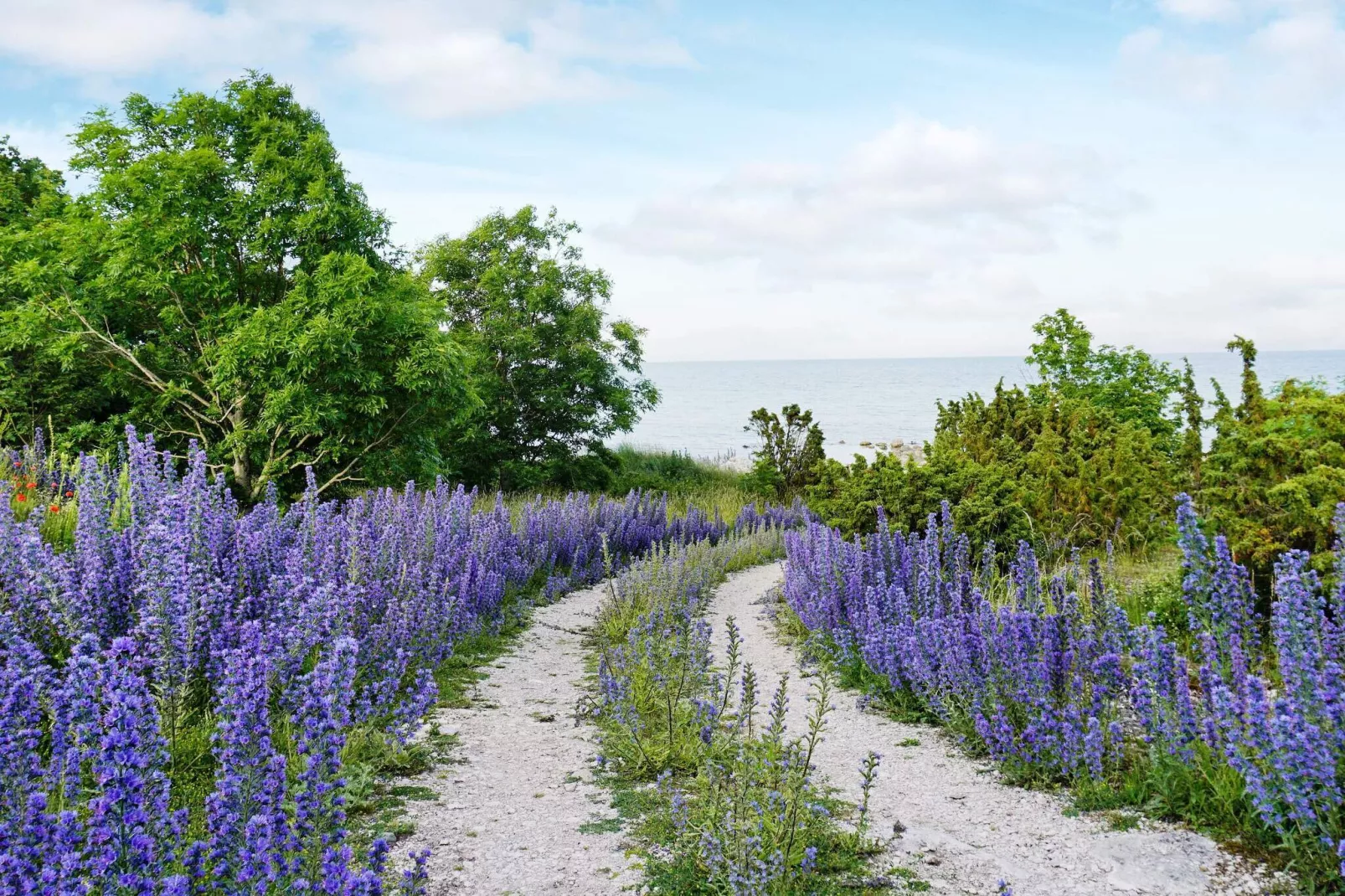 6 persoons vakantie huis in VISBY-Niet-getagd