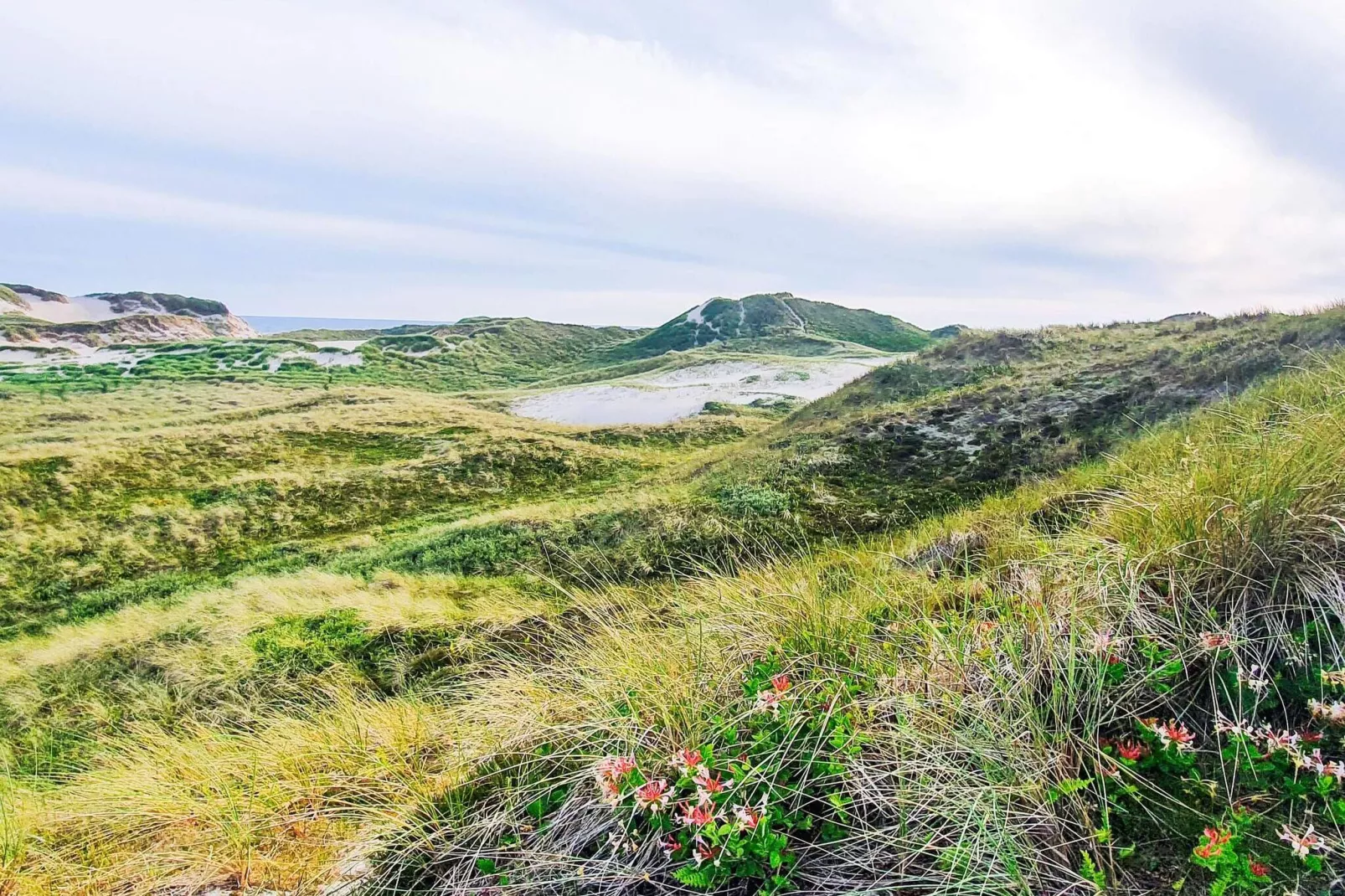 6 persoons vakantie huis in Ulfborg-Buitenlucht